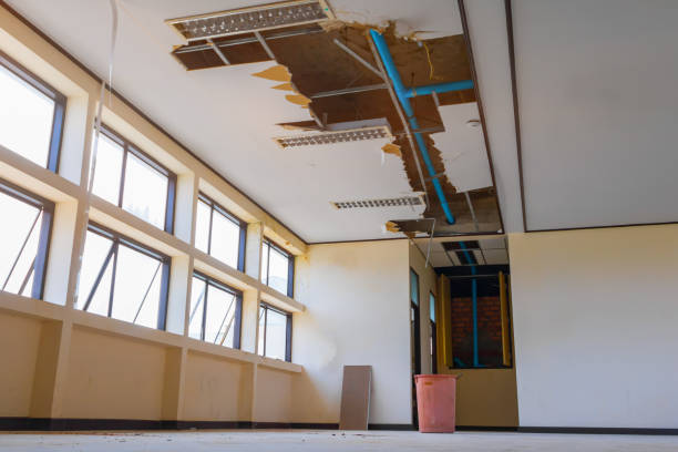 Best Flood damage cleanup  in Cleary, MS