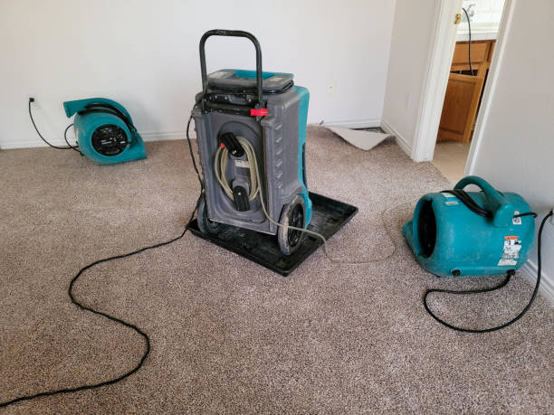Best Sewage cleanup and water damage restoration  in Cleary, MS