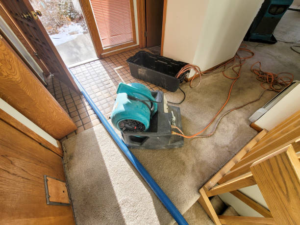 Best Professional water damage repair  in Cleary, MS