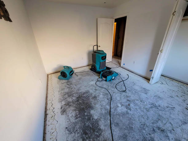 Best Emergency water damage restoration  in Cleary, MS