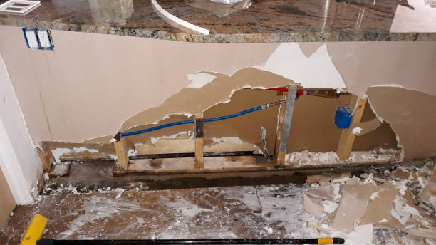 Best Mold removal after water damage  in Cleary, MS