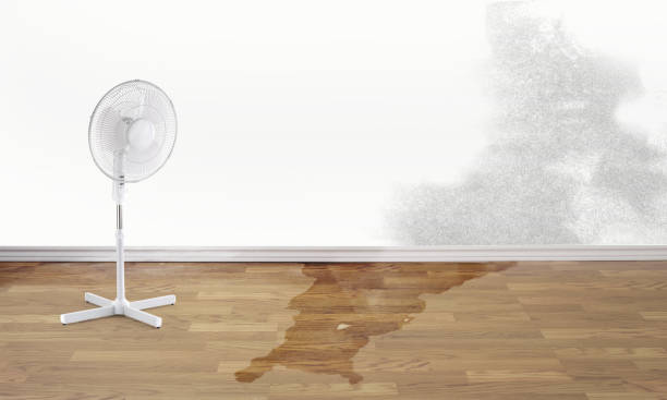 Best Commercial water damage restoration  in Cleary, MS