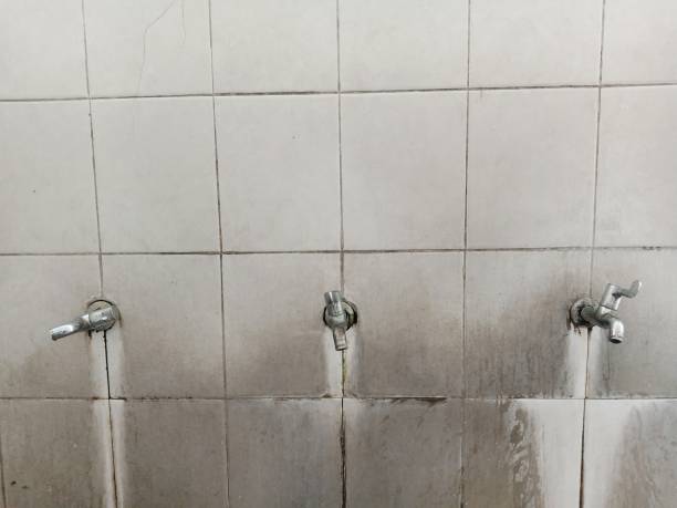 Best Water damage restoration near me  in Cleary, MS