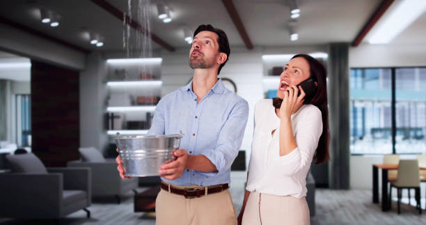 Best Flood damage cleanup  in Cleary, MS