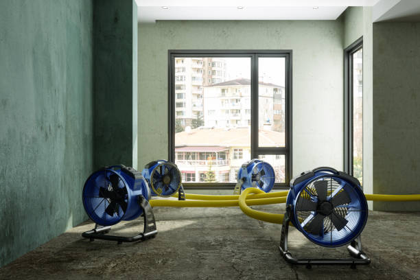 Best Basement water damage restoration  in Cleary, MS